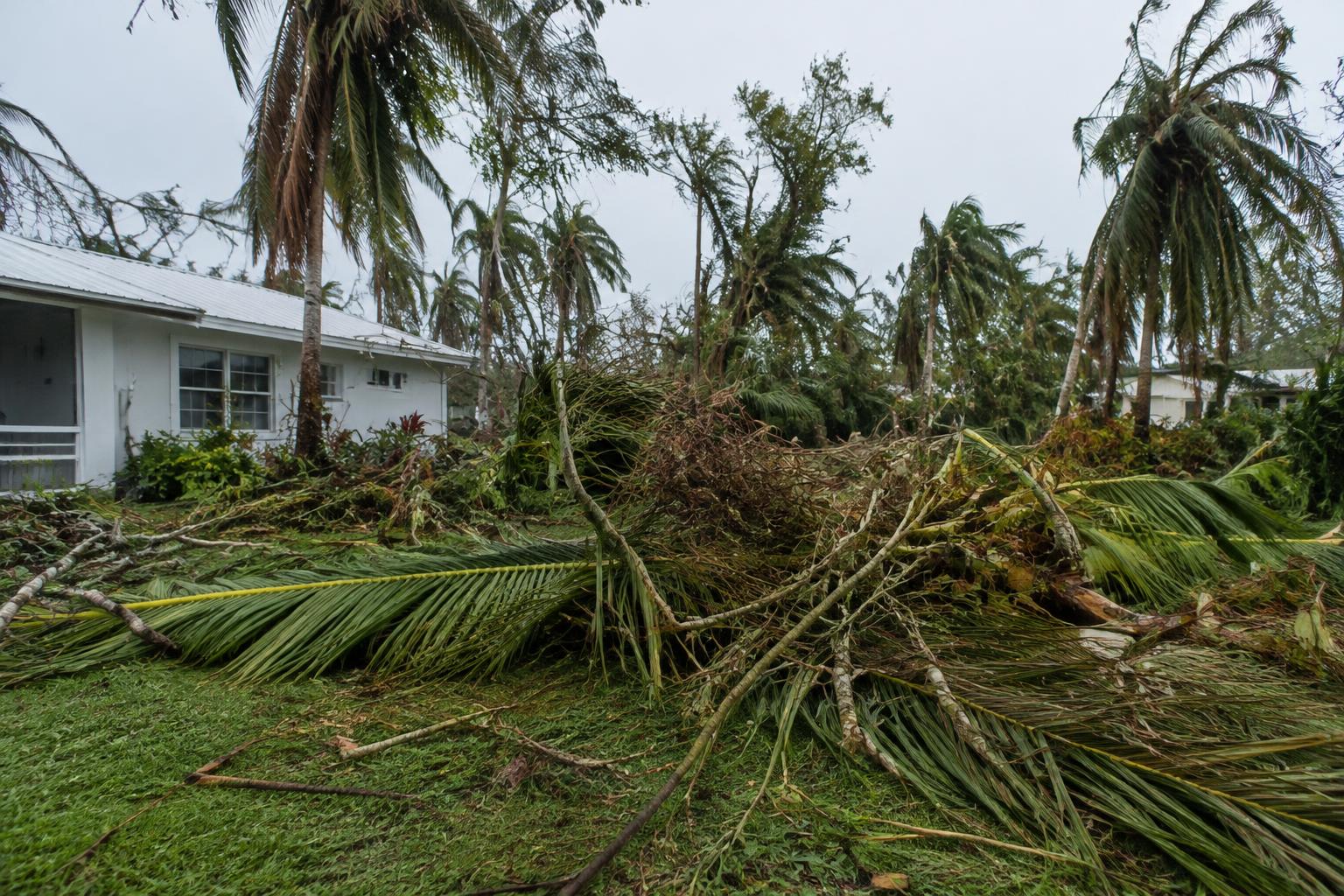 Storm debris and downed branches in a yard following hurricane damage relevant to an insurance claim
