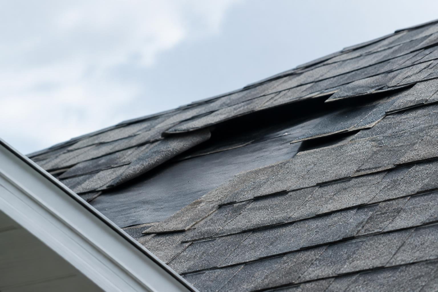 Close-up of wind-lifted shingles showing roof damage typical of a Florida windstorm claim